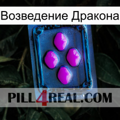 Возведение Дракона 04